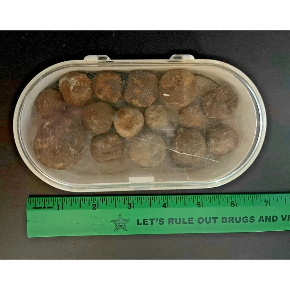 Civil War Era Grape Shot Canister Lot of‎ 15~1.60 lbs-South Carolina Recovery